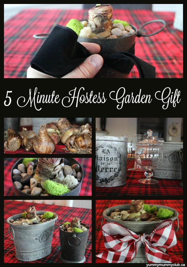 A frugal DIY hostess gift for this holiday season - A sprouting flower bulb for a beautiful indoor garden. | Gardening | Christmas | Frugal | YummyMummyClub.ca