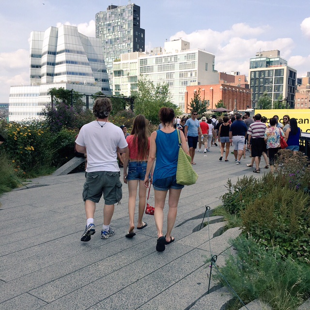 Walk the High Line in NYC
