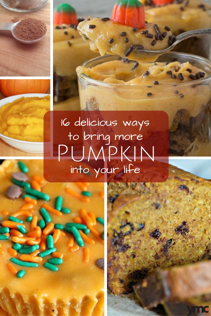 Brace yourselves. Pumpkin recipes are coming. But you don't have to settle for just a pie, this year. There's over a dozen delicious recipes here that will help you make the most of the season and everything pumpkin and pumpkin spice!