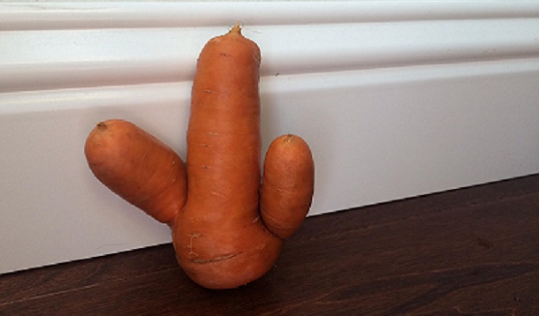 ugly carrot