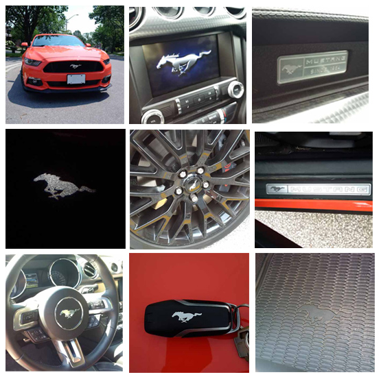 2015 Ford Mustang collage