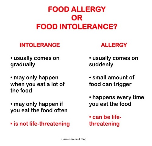 Image result for free image for food intolerances