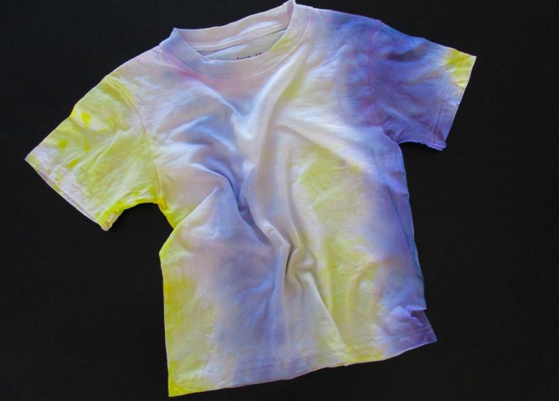 T-shirt tie dyed using blueberries and mustard.
