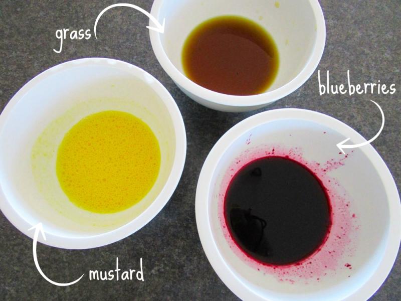Blueberry, mustard and grass dyes.