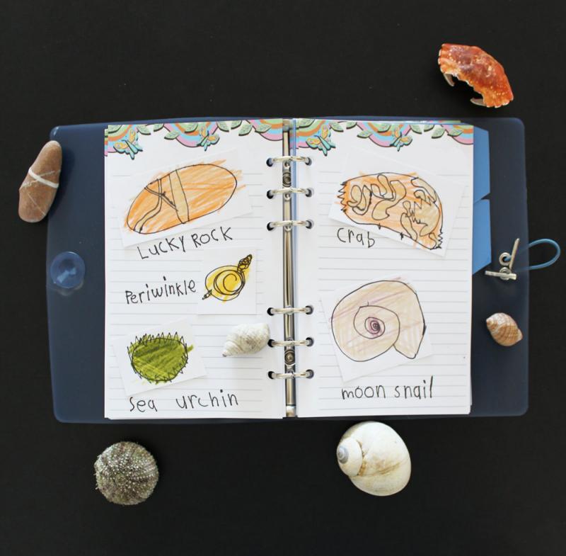 You can make your own sketches in the Maplelea Girl journals.