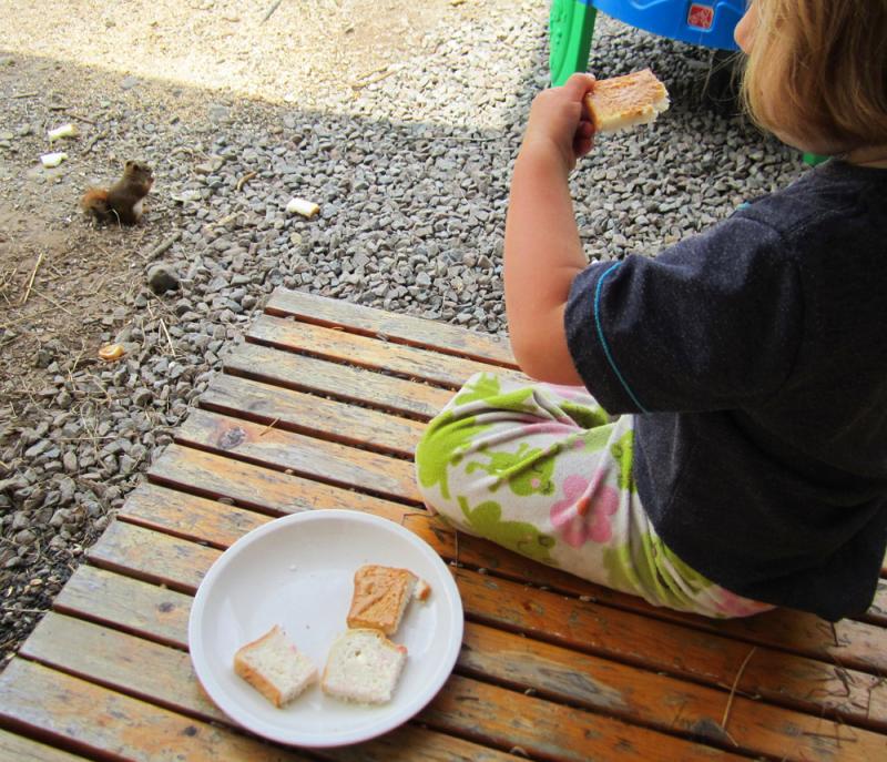 Have lunch with a chipmunk.