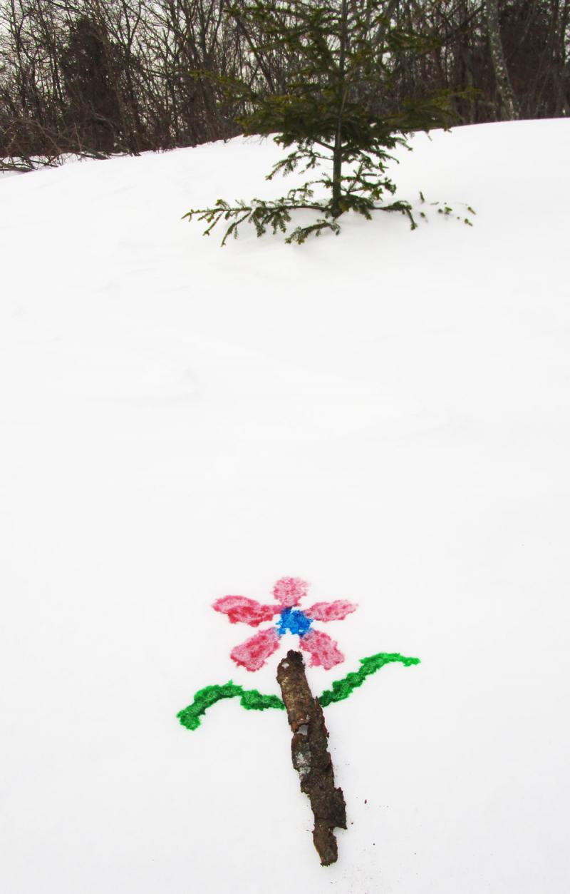 Snow flower picture