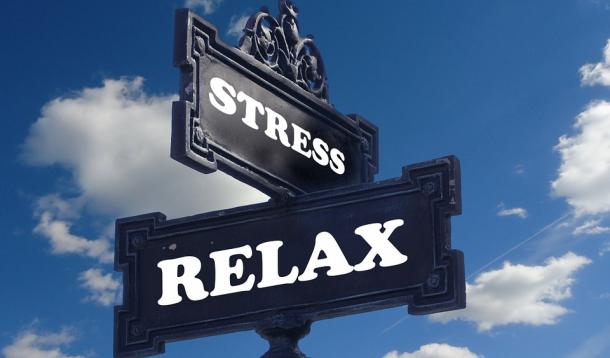 Put down your phone and release your stress | YummyMummyClub.ca