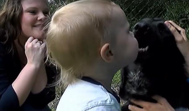 dog saved child from abuse