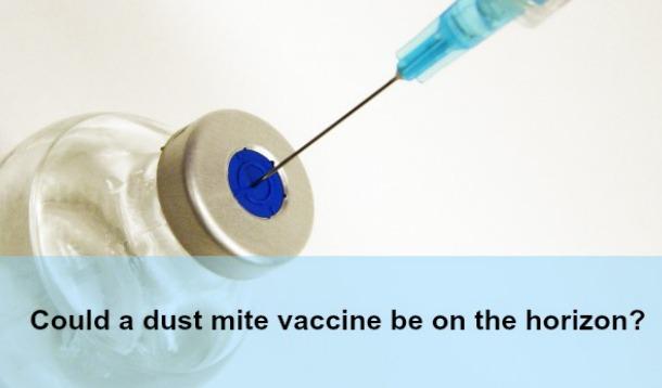 Could a dust mite vaccine be on the horizon?