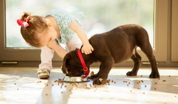 Toddler_and_puppy