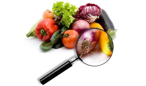 food under a magnifying glass
