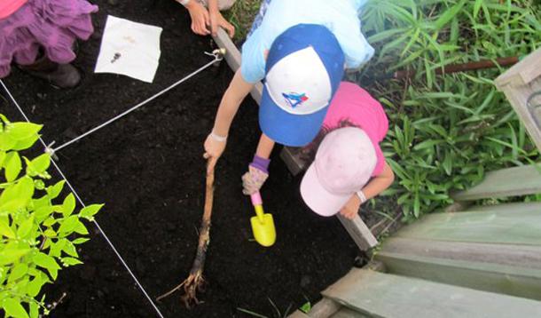 Building A Garden With Kids