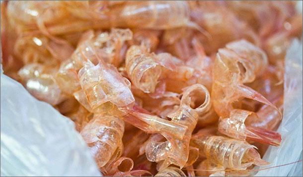 Do This With Your Shrimp Shells 