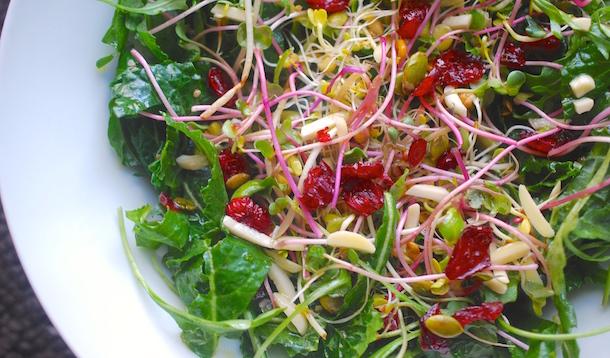 kale arugula and cranberry salad