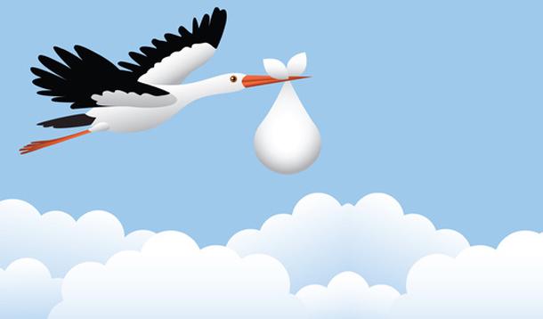 stork baby carrier