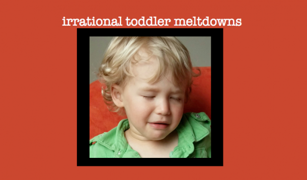 toddler, tantrum, meltdown, irrational, toddler irrational, funny kids, two years old, parenting, fits, crying,