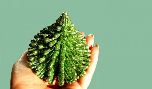 Quirky Christmas Allergens to Watch Out For - Not to be the Grinch who stole Christmas, but the sparkle and joy of the holidays also come with many hazards to those with allergies. | Health | YummyMummyClub.ca