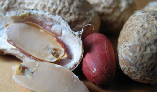Hamilton Considers Banning Peanuts from Public Buildings - That will solve the peanut allergy problem, right? This food allergy blogger disagrees | YummyMummyClub.ca