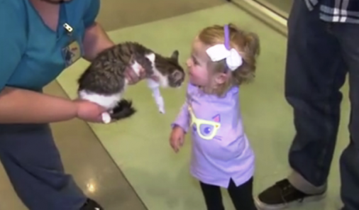 New Kitten Brings Joy to Little Girl | YummyMummyClub.ca