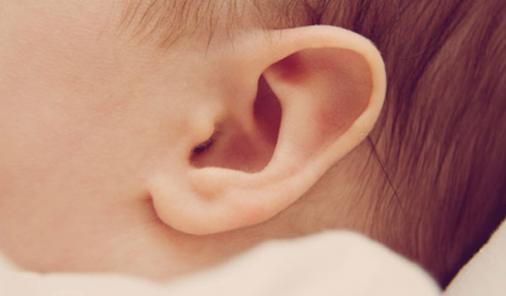 baby ears