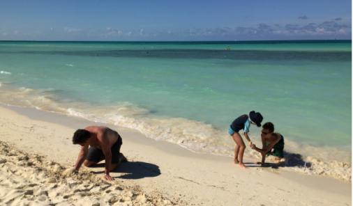 beach in Cuba