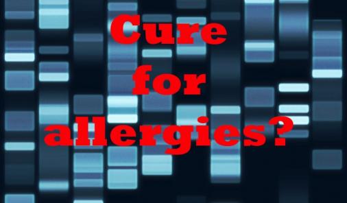 cure_for_allergies