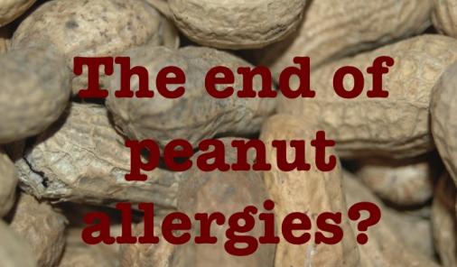 the end of peanut allergies?