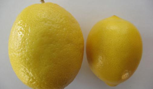 What The Heck Are Meyer Lemons?
