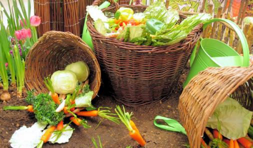 What Is Organic Produce Delivery and CSA?