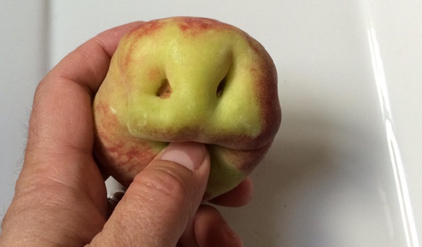 ugly apple