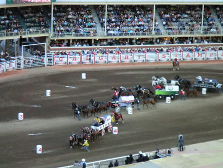 Calgary Stampede