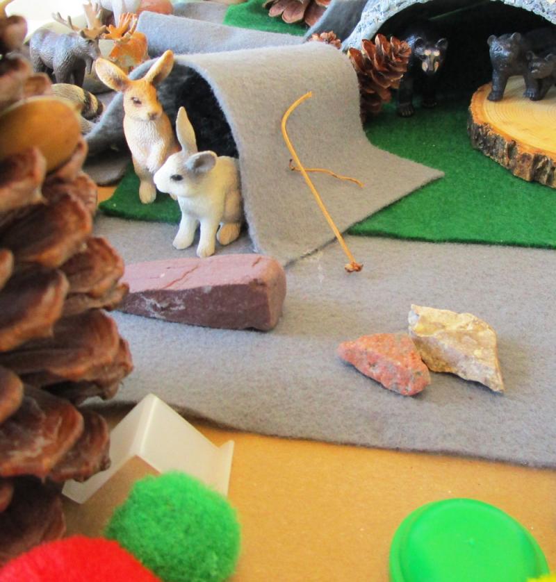 Earth Day Fun: Animal Habitat Craft for Kids :: 
