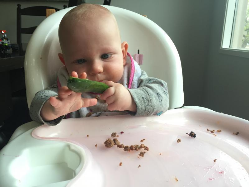 Is feeding a baby rice cereal first based on science or tradition? The truth about what your baby's first food should be might surprise you. | Parenting | YummyMummyClub.ca
